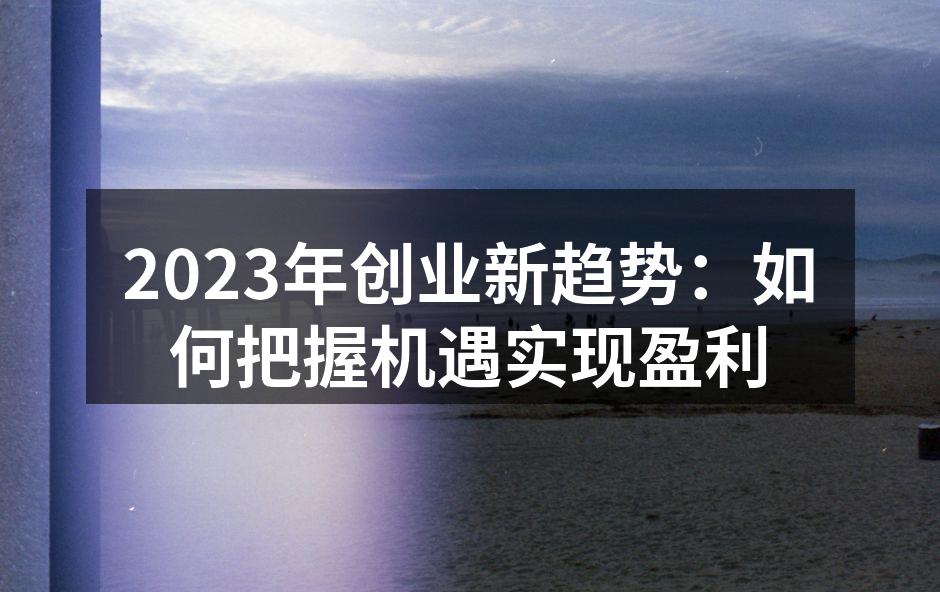 2023年创业新趋势:如何把握机遇实现盈利